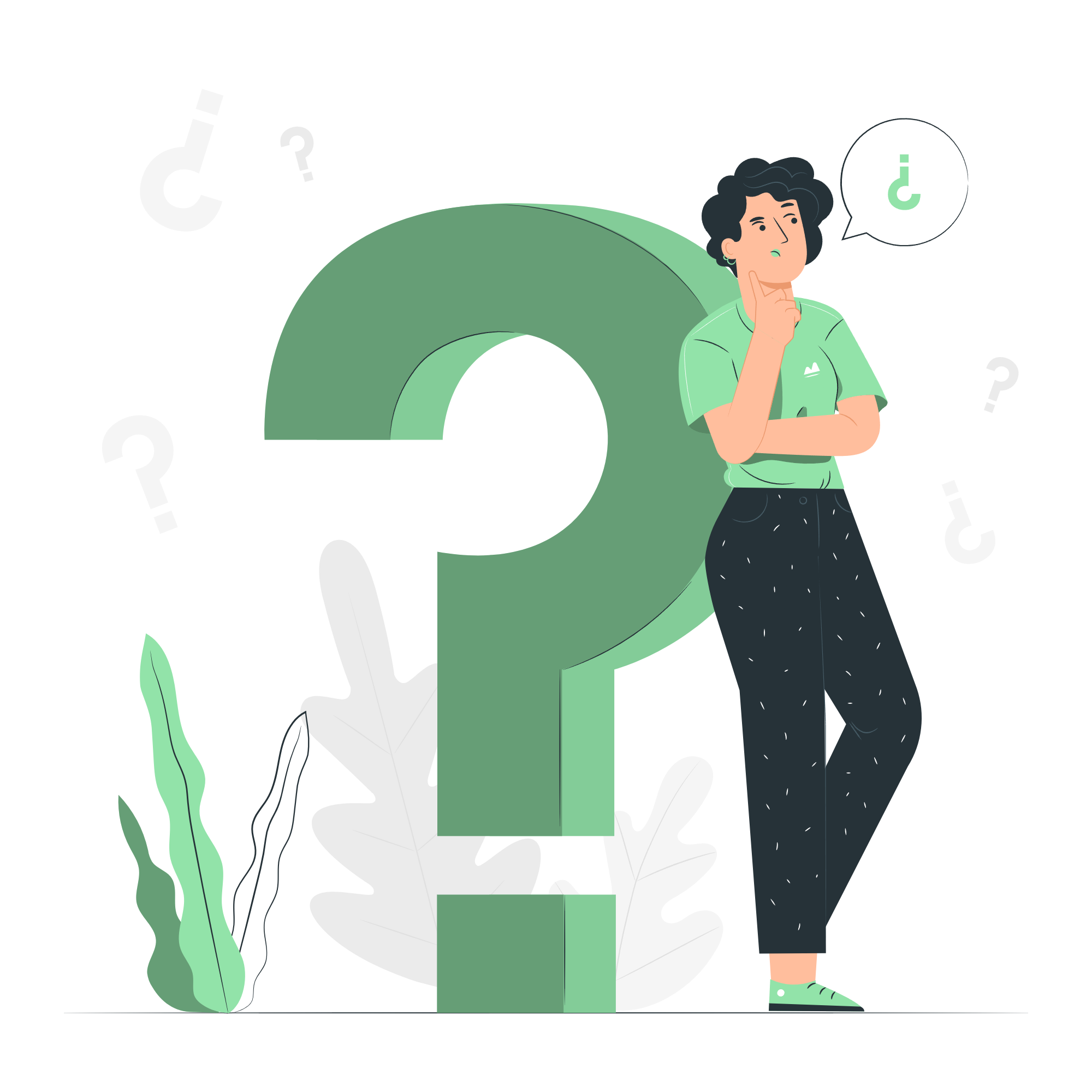 Insurance Questions